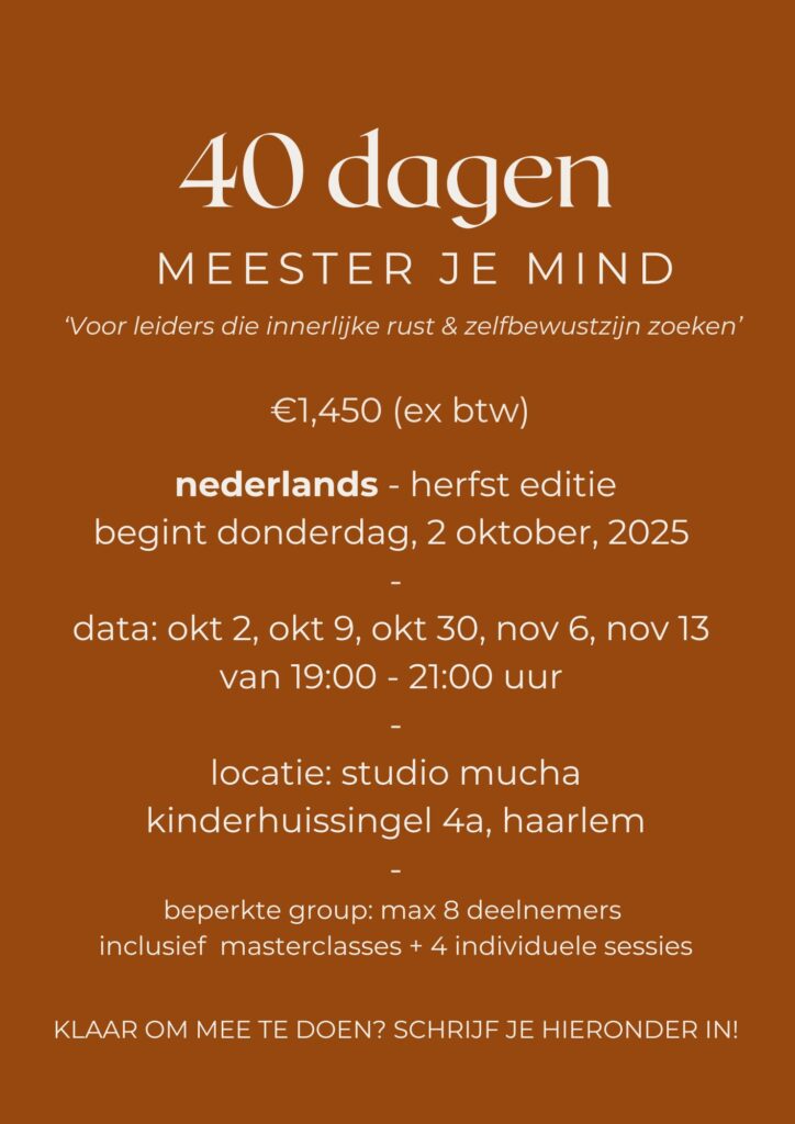Programma 19